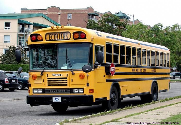 Blue Bird School Bus